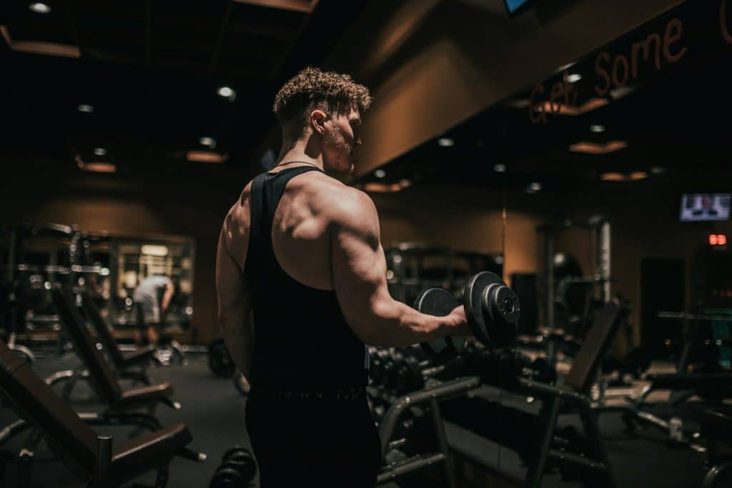 muscle gain